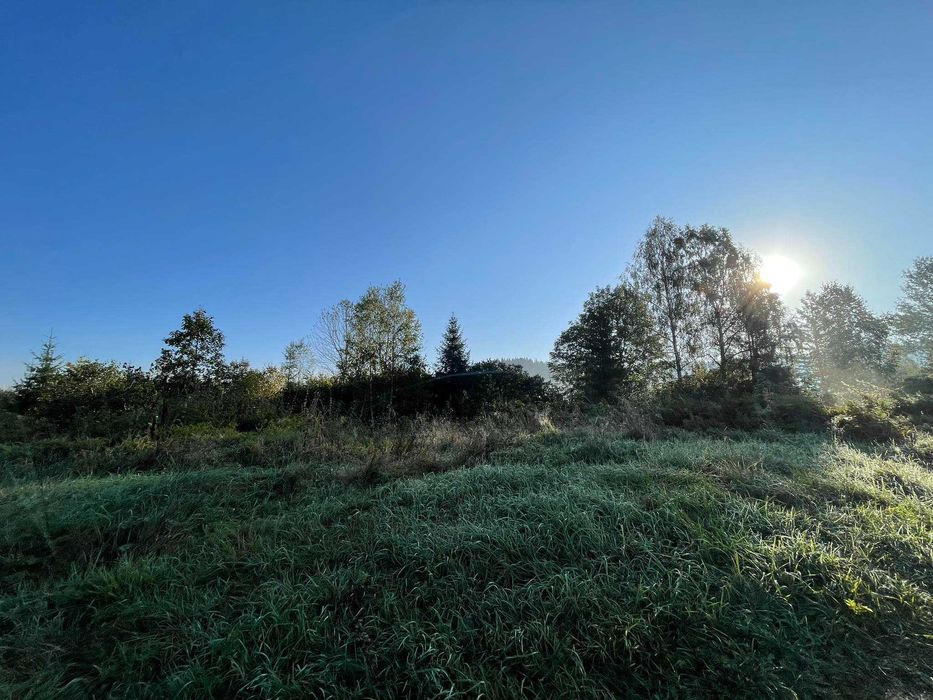 Ділянка для будівництва котеджів! Розташування – Ялинкувате