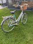 Rower sparta damski
