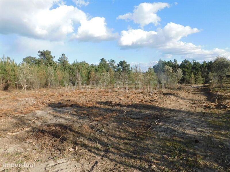 Quintinha / Fundão, Cortiçada