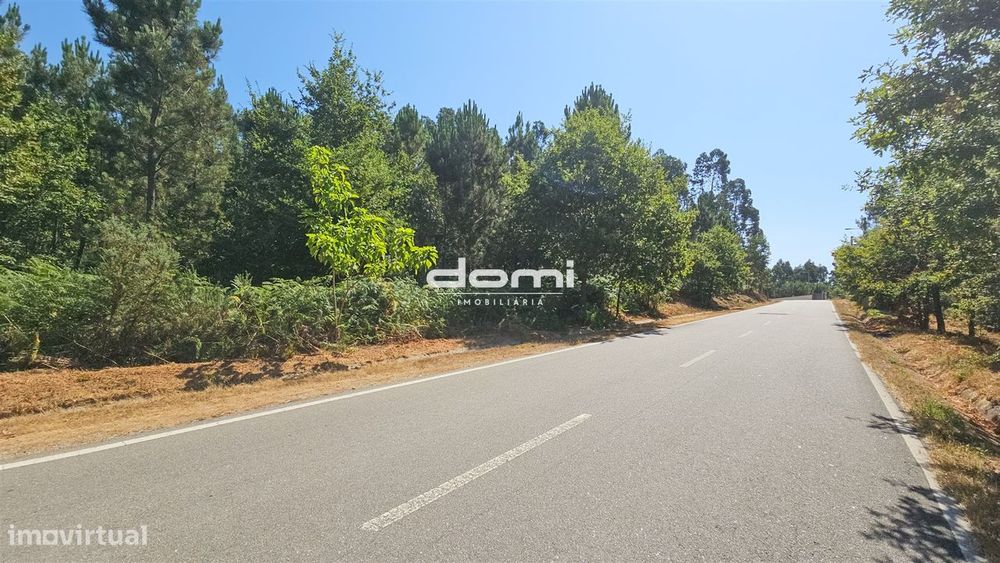 🏡 Terreno com Viabilidade de Construção em Santa Cruz da Trapa