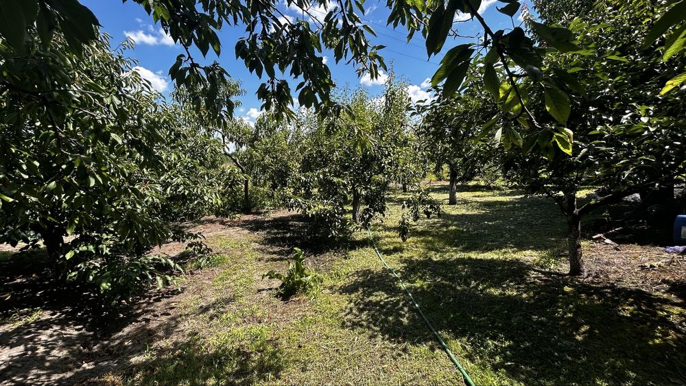Продам будинок в передмісті Кременчука.