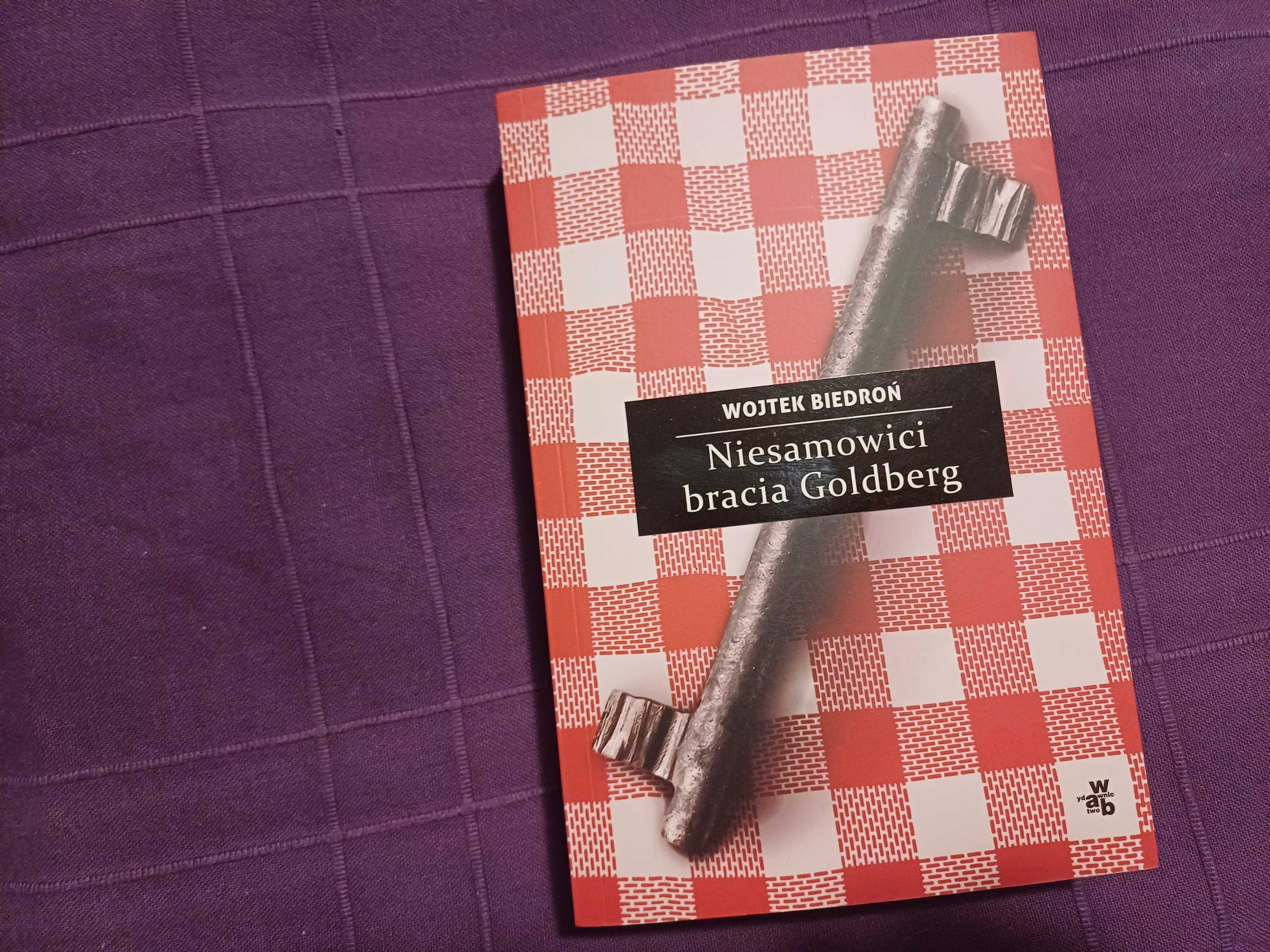 Niesamowici bracia Goldberg. W. Biedroń. STAN IDEALNY nieczytana