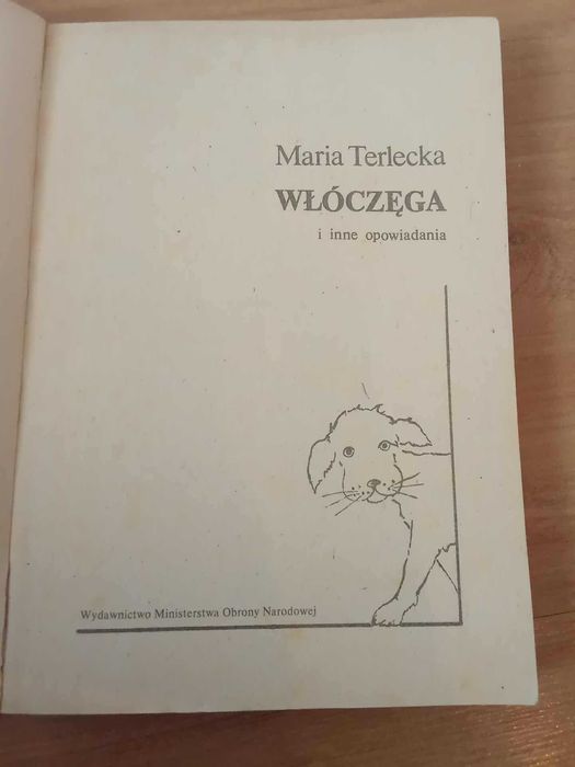 Włóczęga i inne opowiadania - M Terlecka