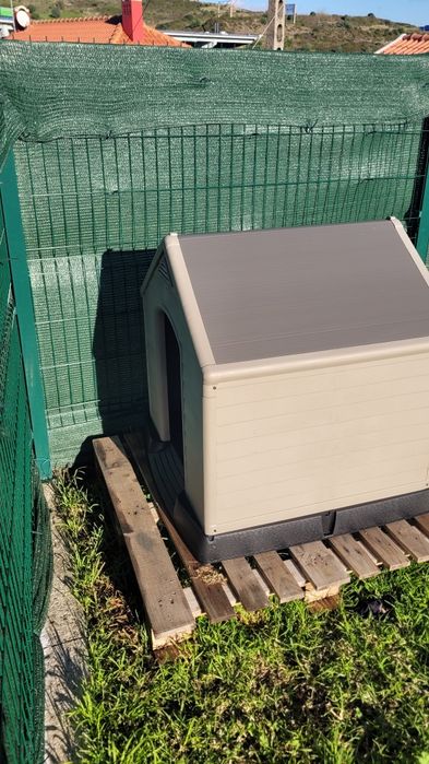 Casota para cães nova!