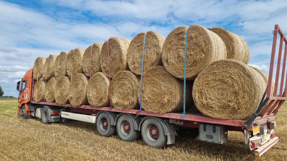 Sprzedam słome pszenżytnią 150cm po prasie pasowej.
