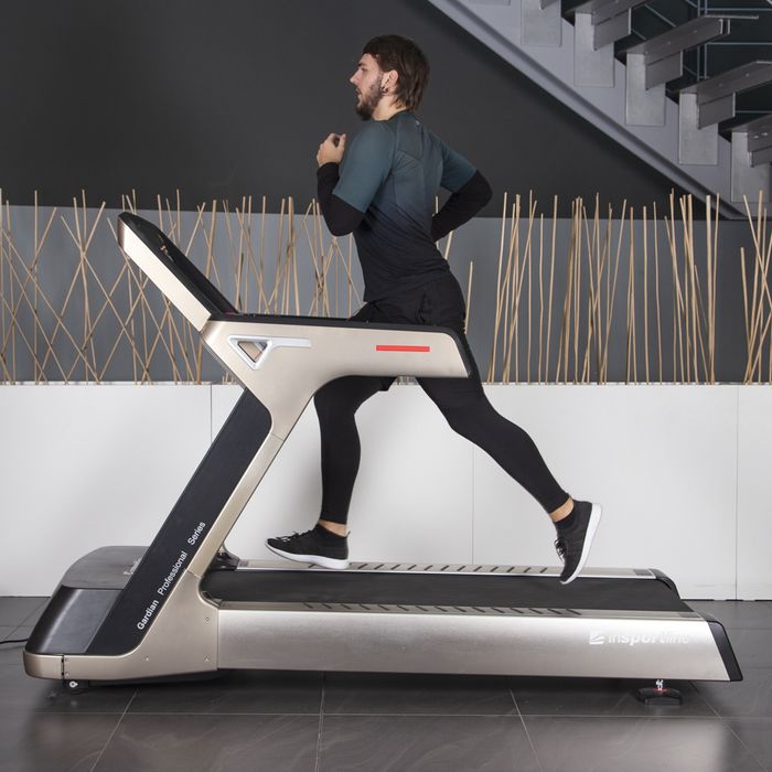 Bieżnia elektryczna inSPORTline Gardian G12