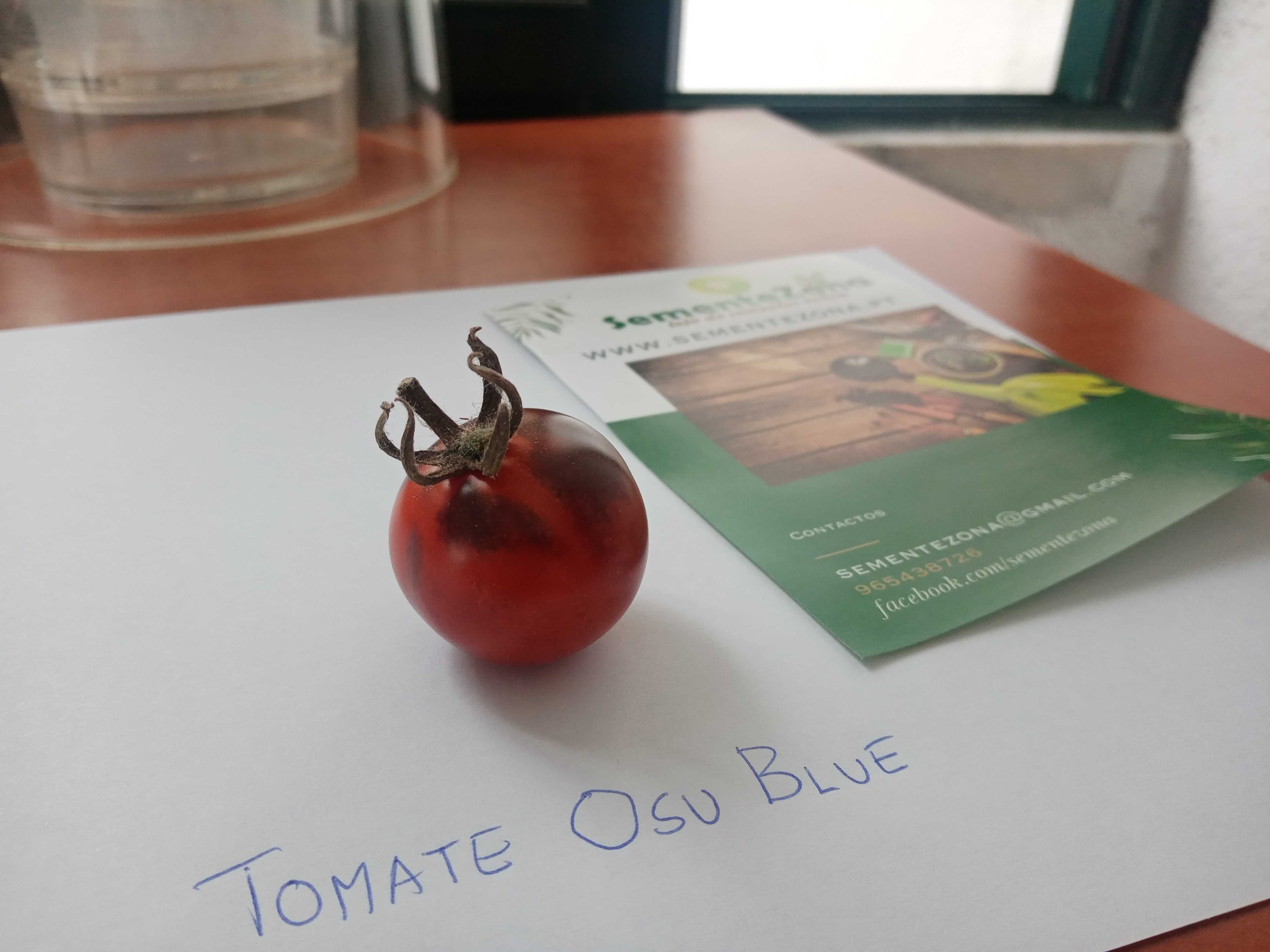 Tomate Osu Blue Sementes Variedade Rara