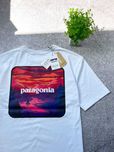 Футболка Patagonia Original | Футболка Патагония с бирками