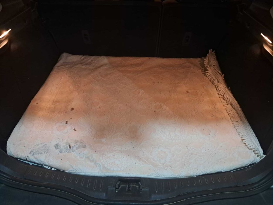 Trabalha como NOVA Carrinha Ford Focus (Segura e Robusta)