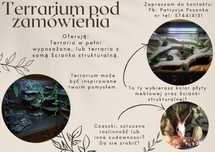 Terrarium pod zamówienie
