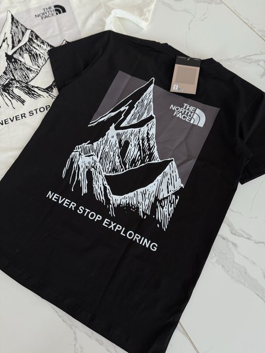 Футболка the north face, футболка зе норс фейс, футболка тнф tnf