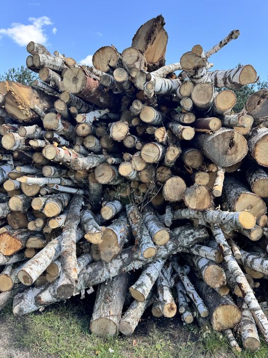 Дрова різних порід,рубані і не рубані