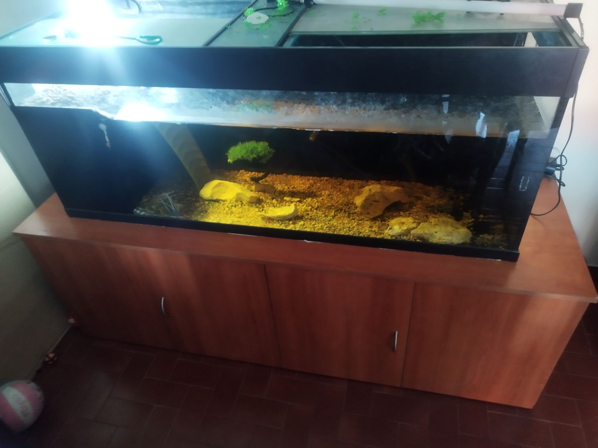 Vendo aquário para tartarugas