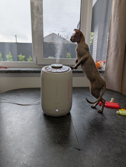 Зволожувач Deerma