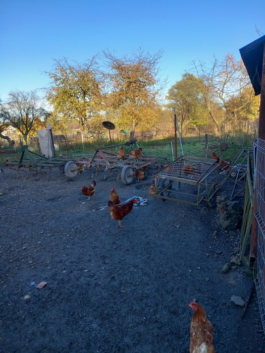 Ursus c-330 z osprzętem