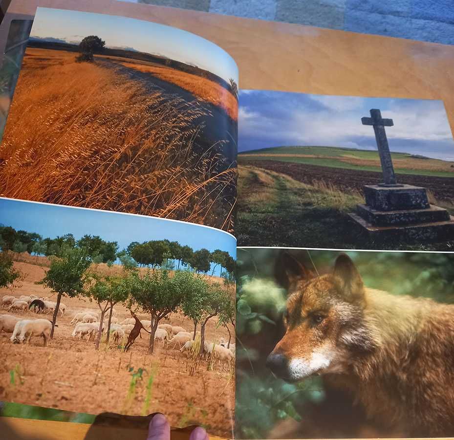 Bragança, um território para conquistar