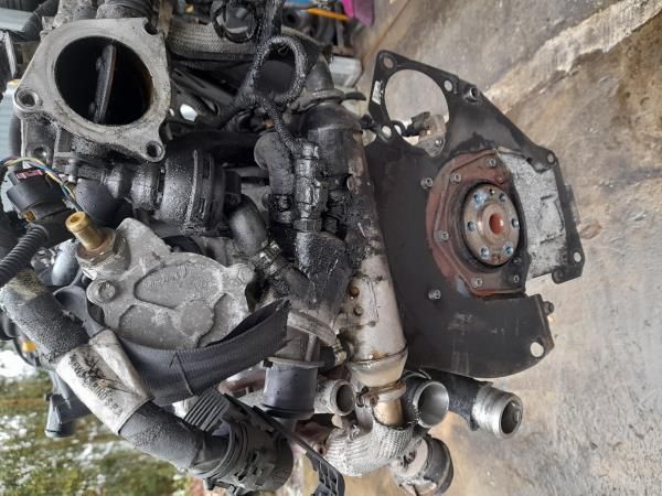 Motor completo FIAT Bravo II (198_)