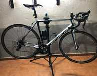 Bicicleta Carbono Focus Cayo Evo