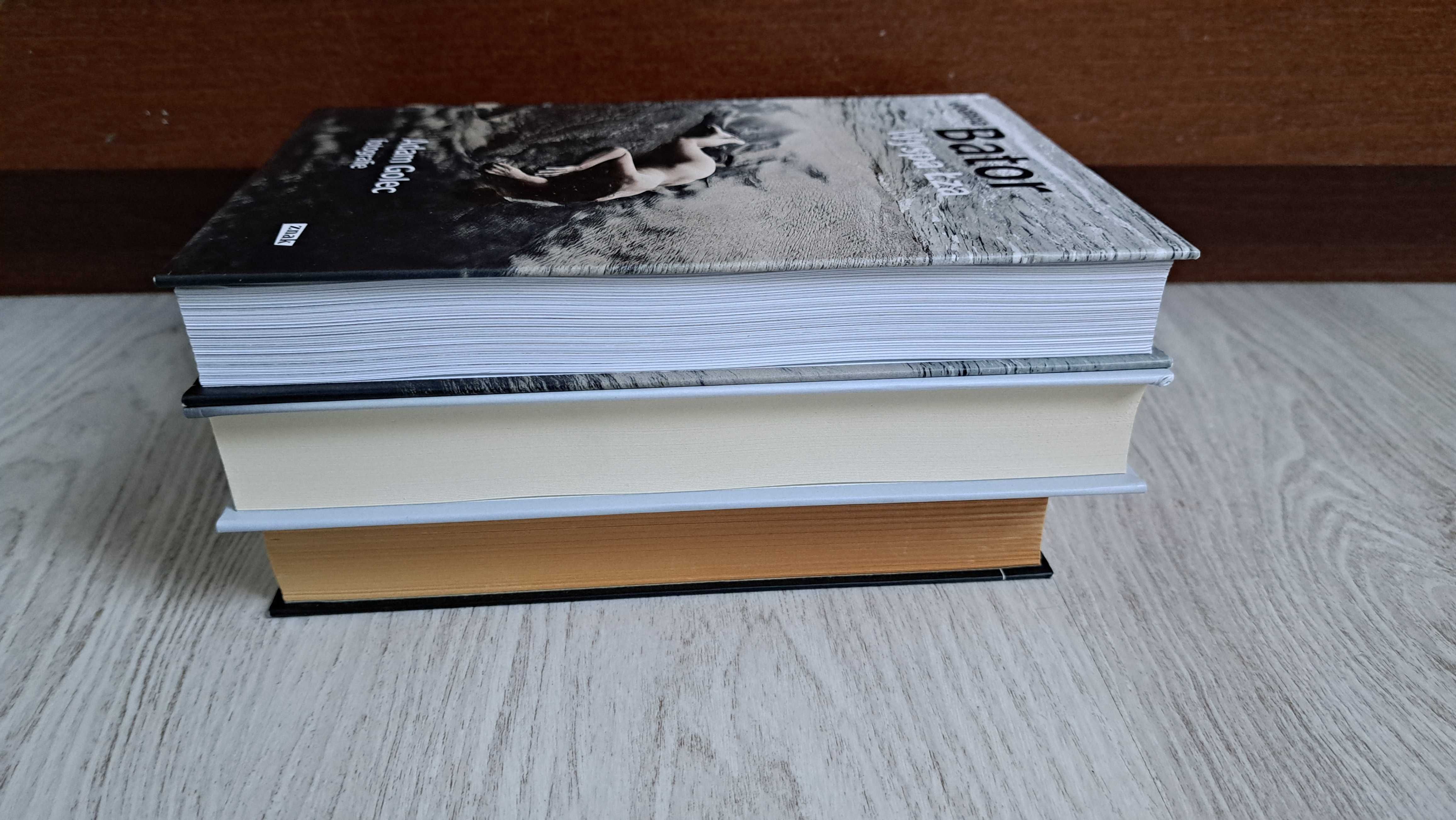 3x Joanna Bator Wyspa Łza + Ciemno prawie noc + Rok królika **