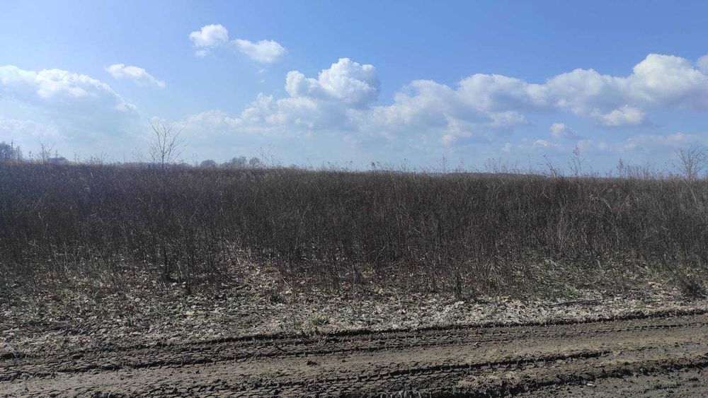 Продам ділянку в Агрономічному 3030