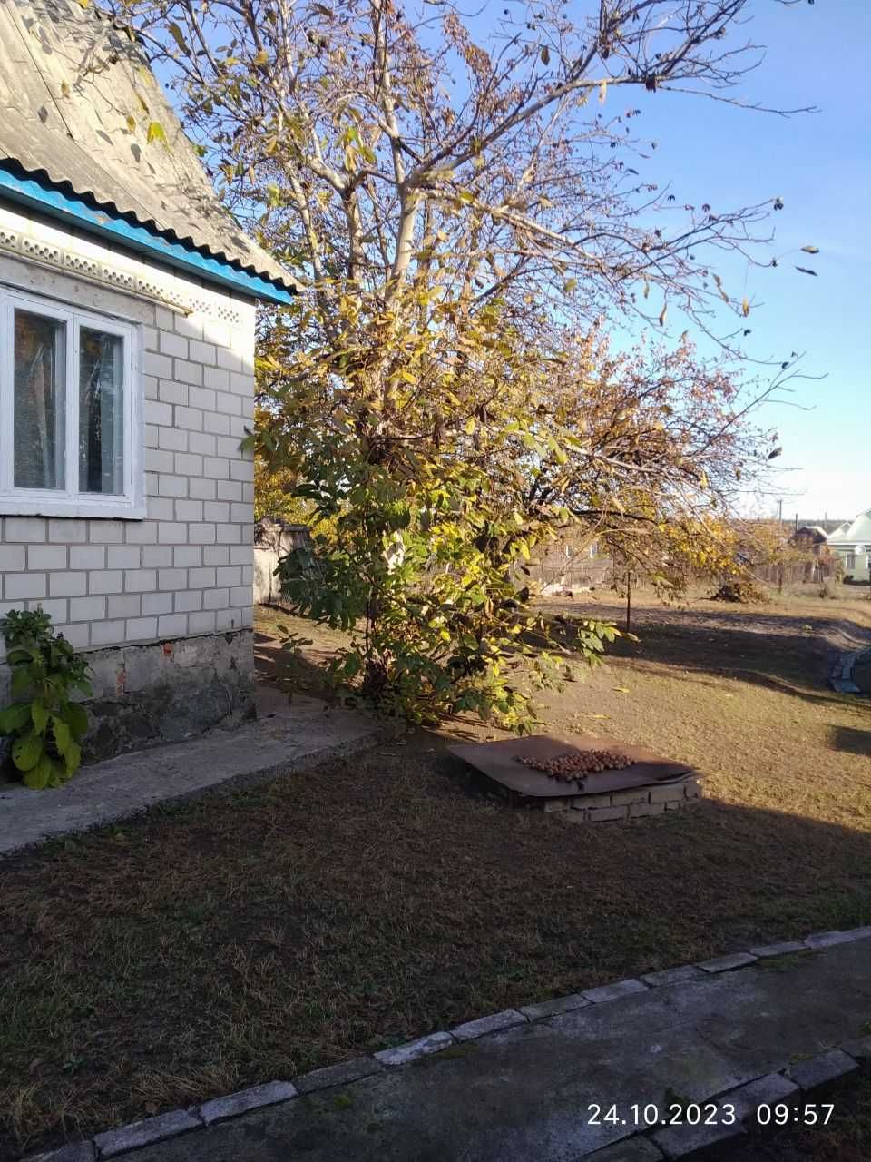 Иванков Киевская область продажа дома 60кв дома.