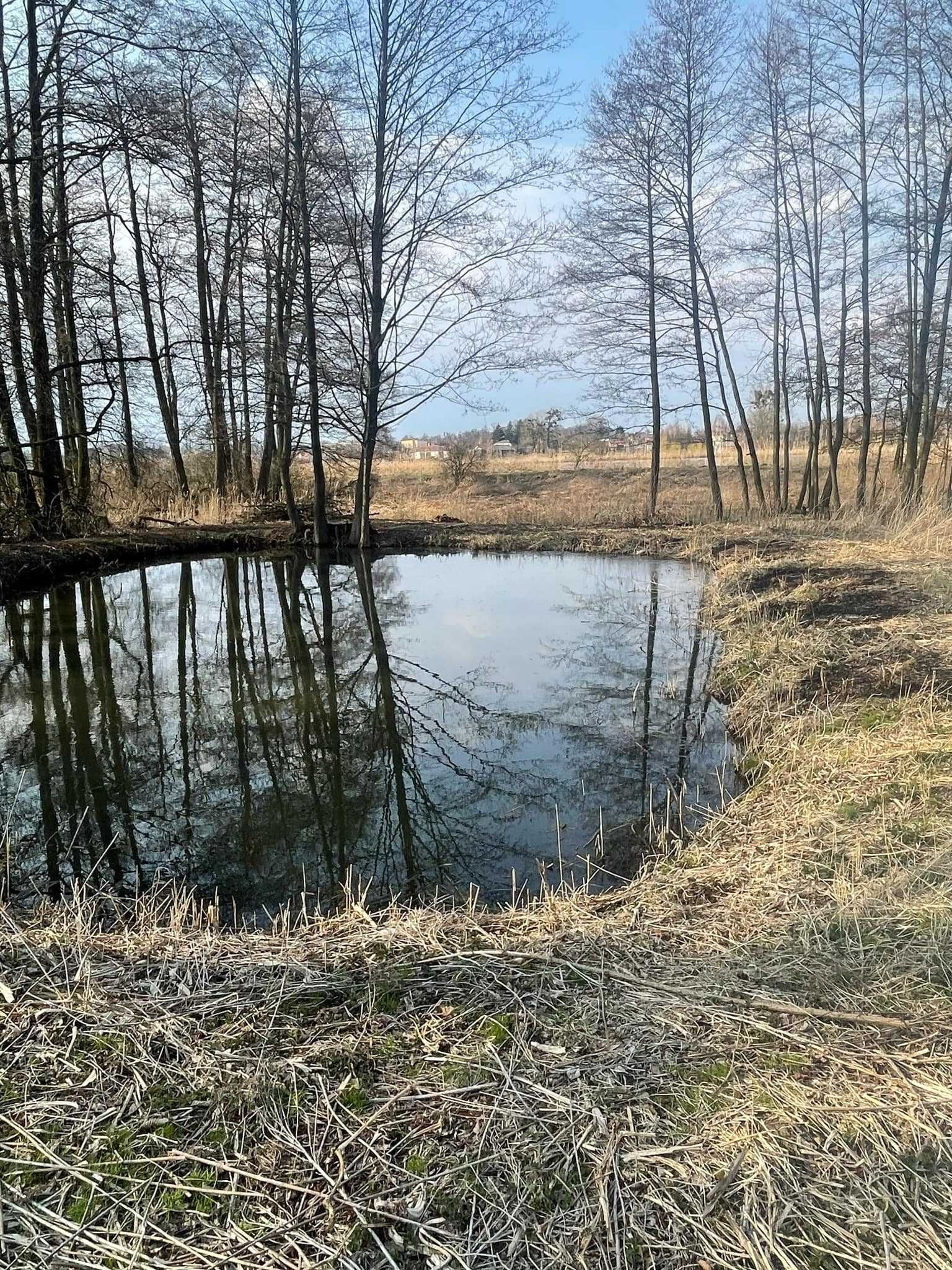 Działka ze stawem rybnym Garbów ul. Dolna