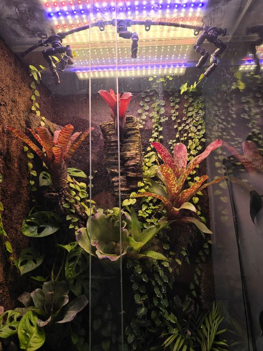 Paludarium cały komplet