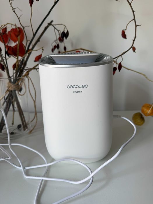 Desumidificador Essencial BigDry 2000