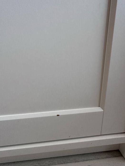 Szafka wysoka Ikea Hauga do negocjacji!