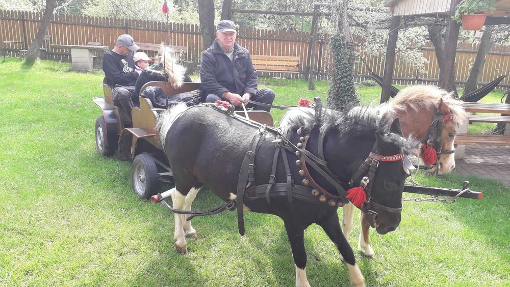 Sylwester,domek lub pokoiki,kuligi z ogniskiem,balia z jacuzzi,las.