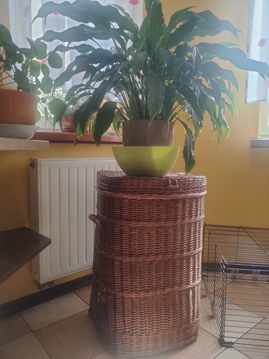 Duży kosz wiklinowy + dwa małe koszyczki