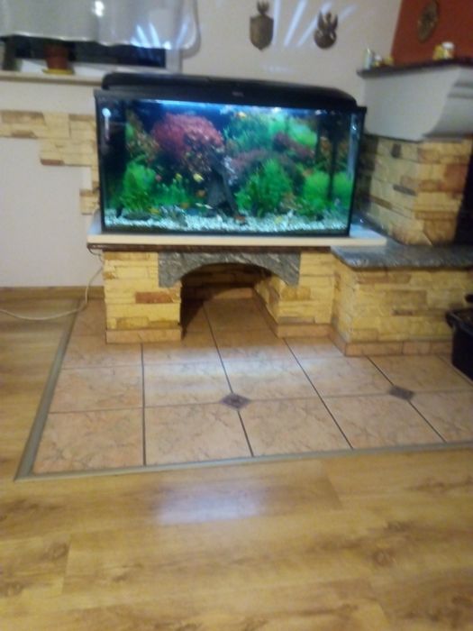 Akwarium 200l z całym wyposażeniem i rybami