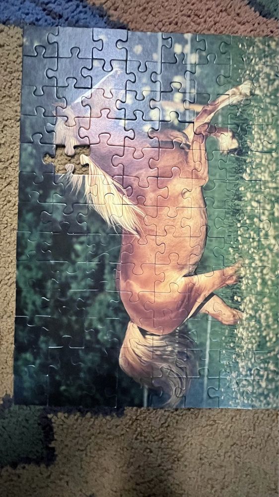 Puzzle 100 koń w biegu