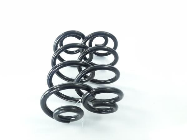 Mola de suspensão trás direita NISSAN Qashqai/Qashqai+2 I (J10, JJ10)