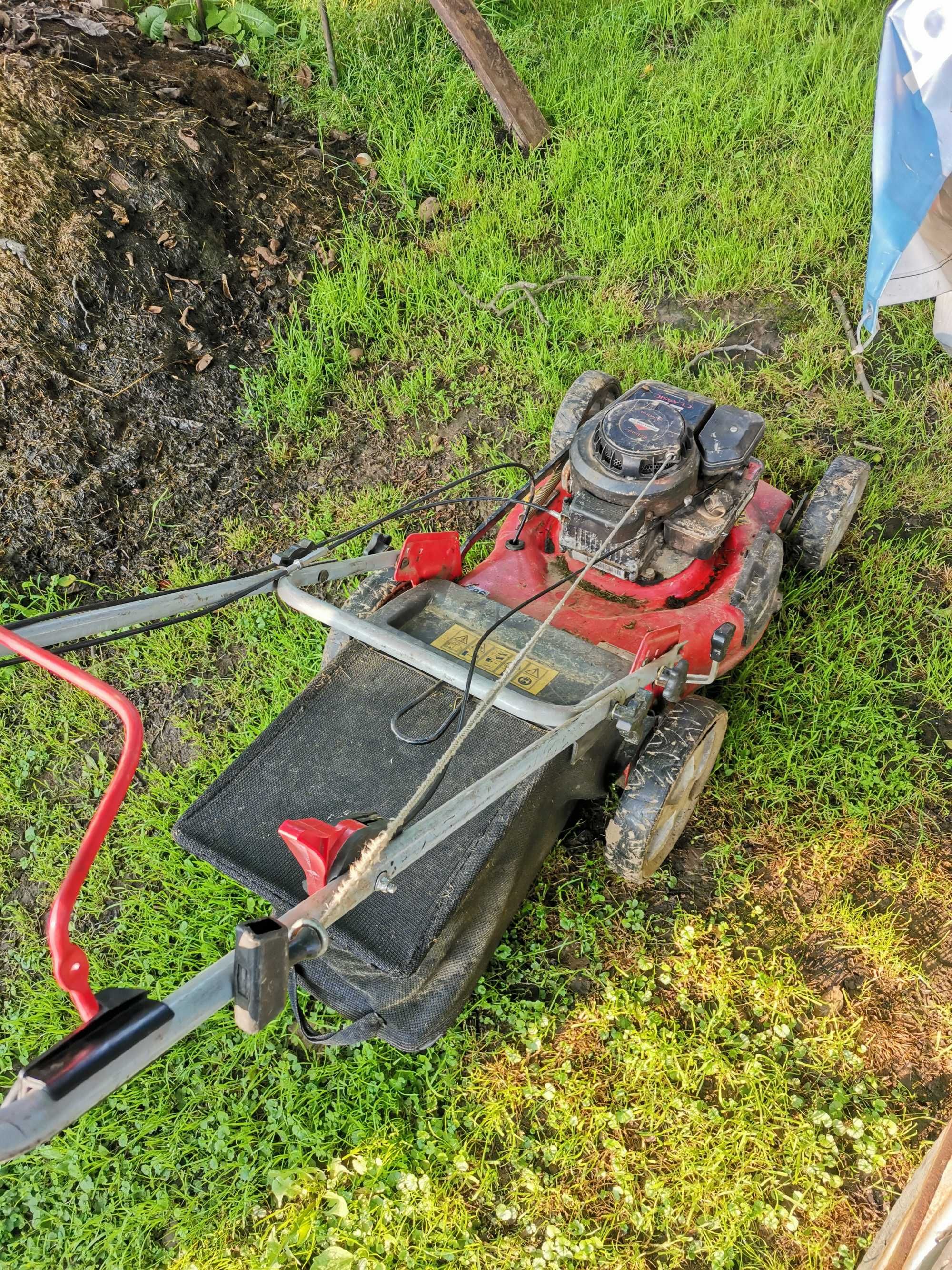kosiarka spalinowa briggs & stratton honda 0d150-550 z napedem i bez