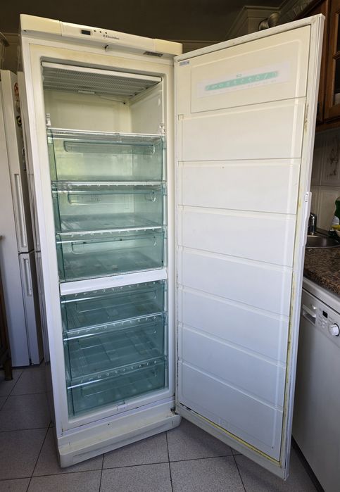 Arca frigorífica vertical electrolux