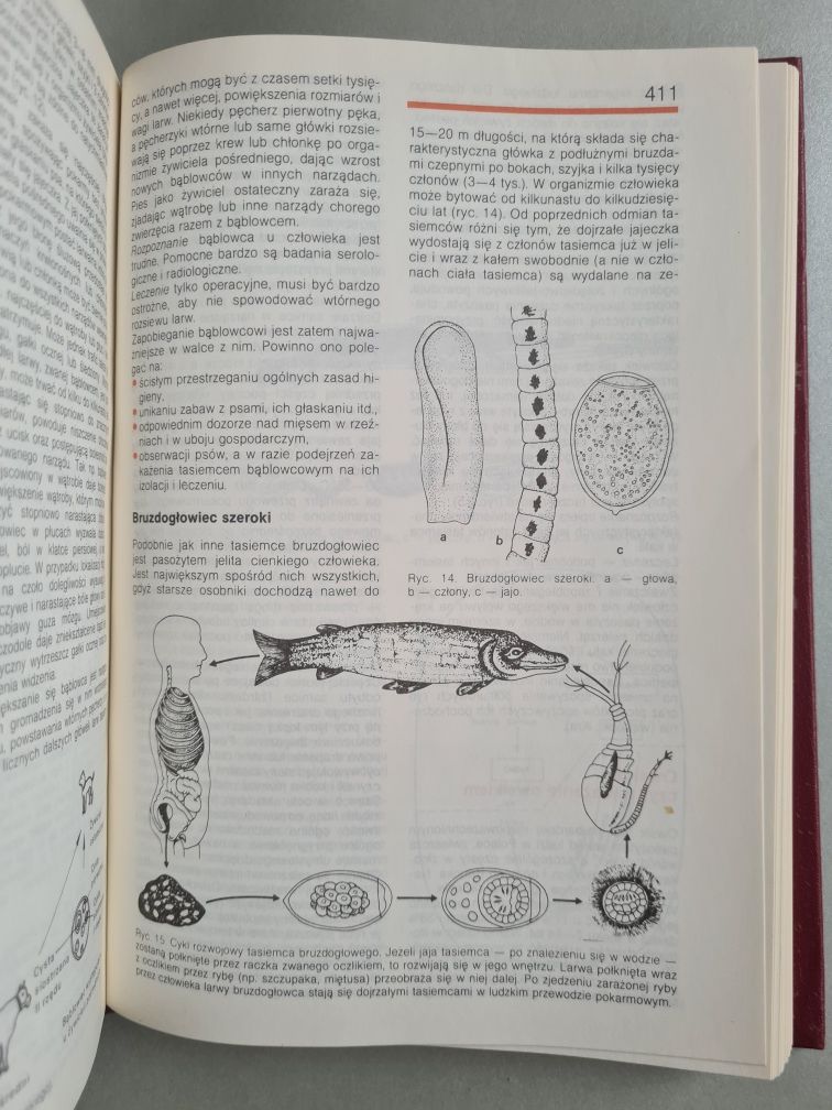 Domowy poradnik medyczny - Książka