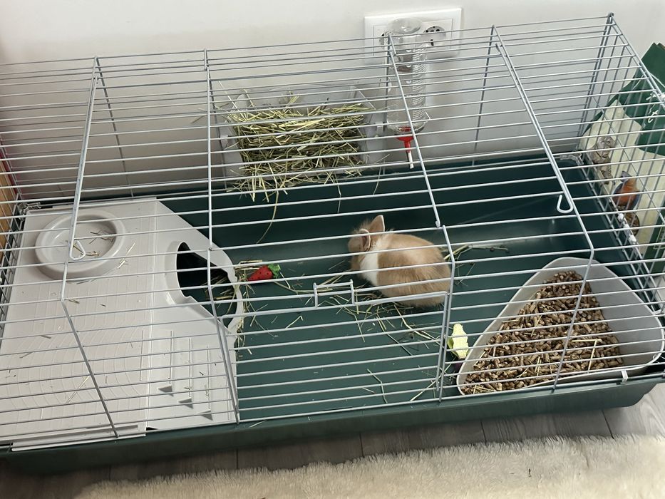 Vendo gaiola para animais pequenos