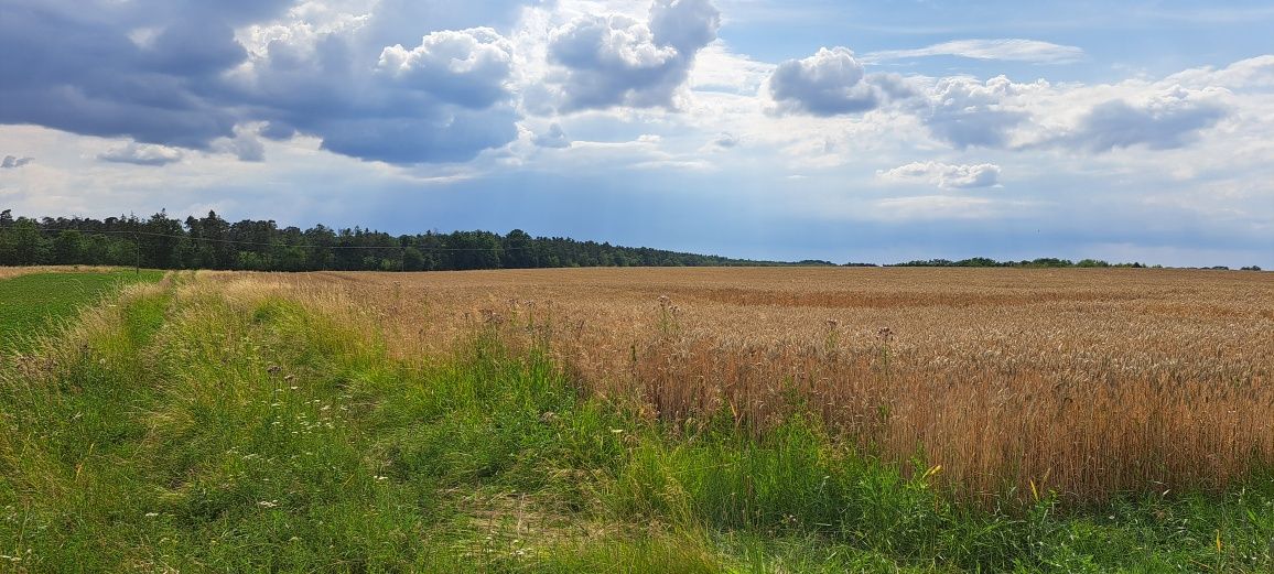 Działka w pieknej okolicy pow. 1500 m,