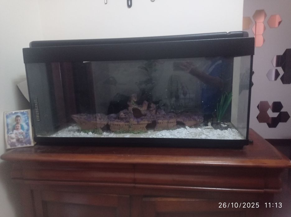 Aquário (estado usado)