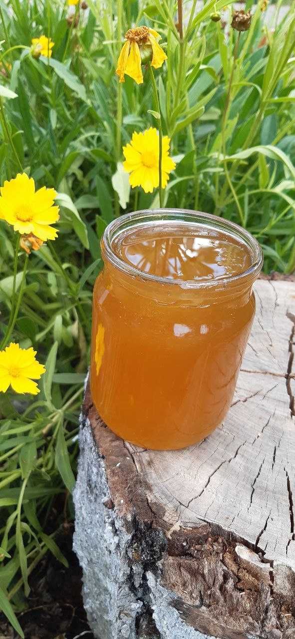 Продам мед разнотравье