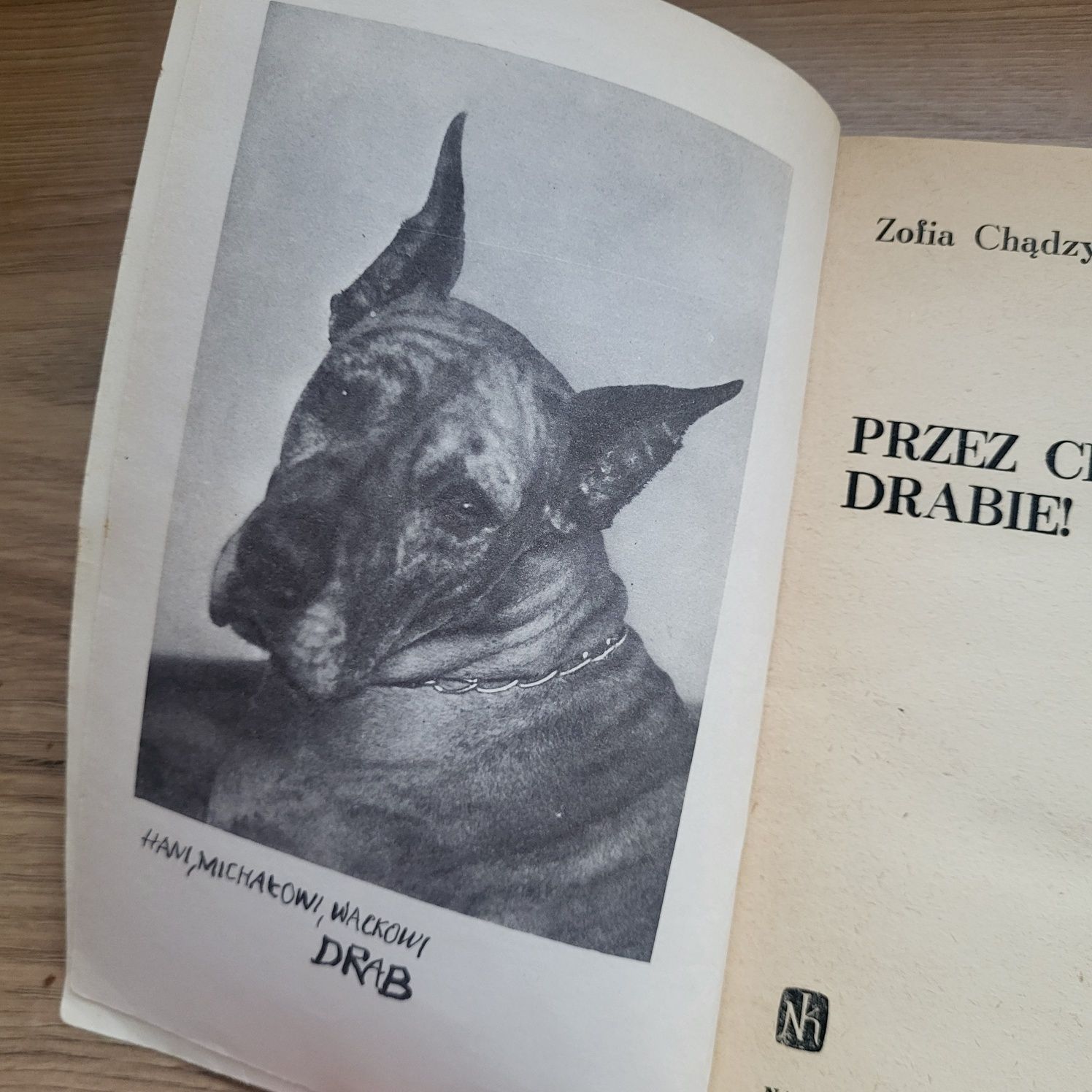 Przez Ciebie, Drabie Zofia Chądzyńska