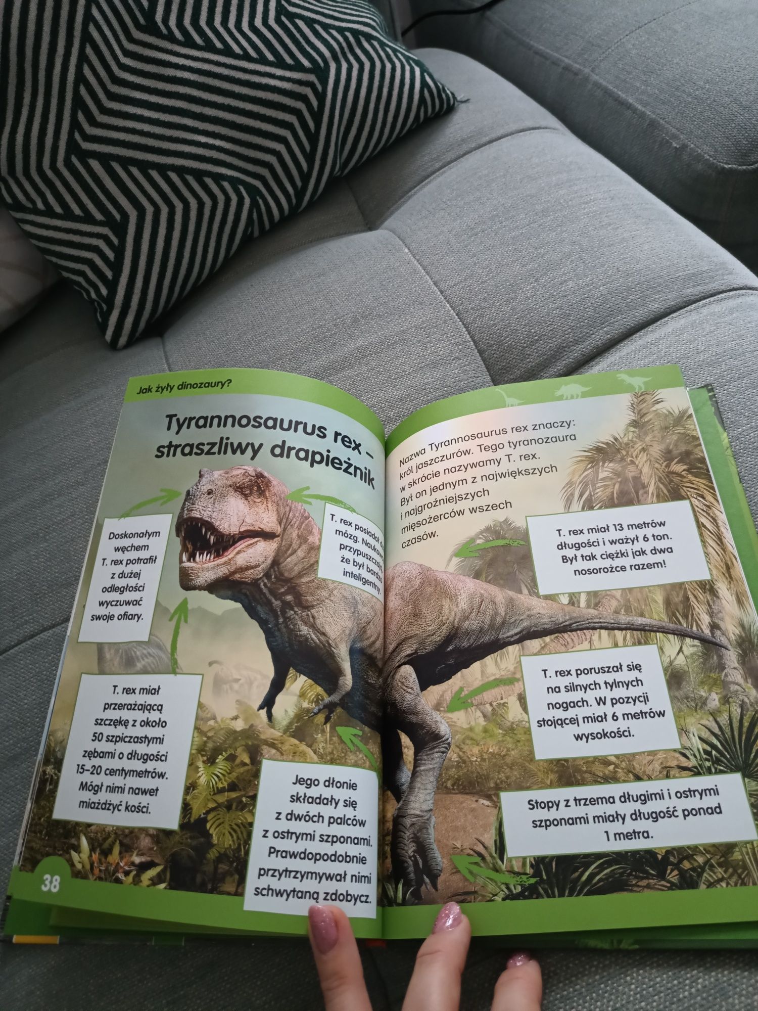 Książka do nauki czytania Dinozaury