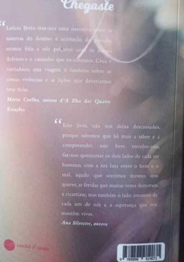 Livro "o dia em que chegaste"