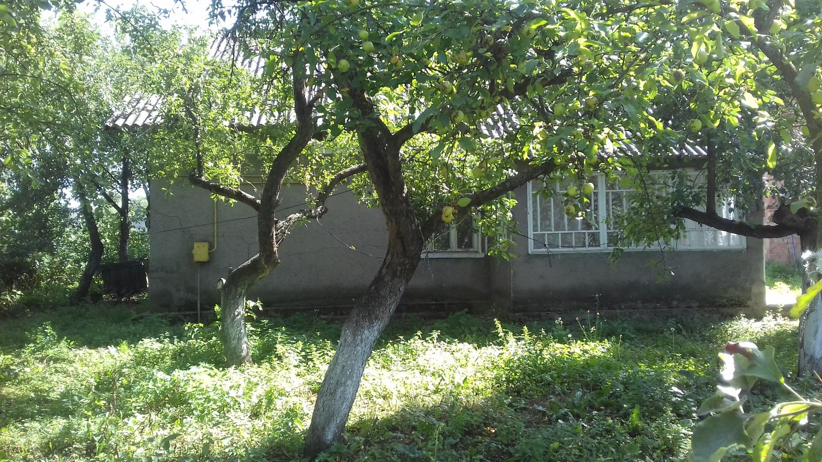 Будинок Хата Господарство в селі