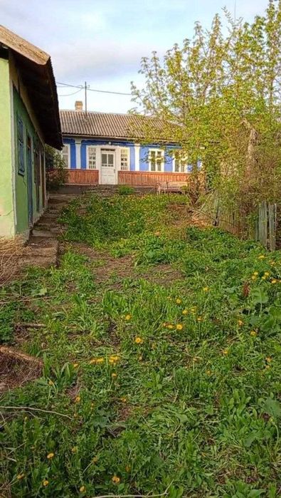 Продаж газифікованого будинку з господарськими спорудами с.Сороки