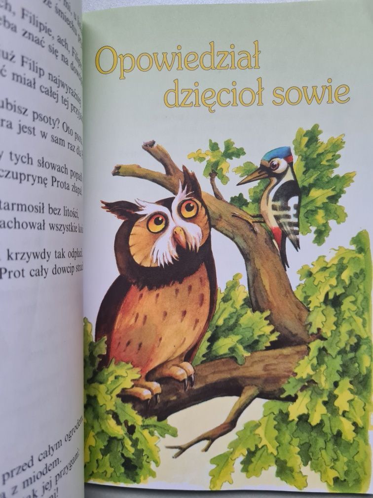 Brzechwa dzieciom - Książka