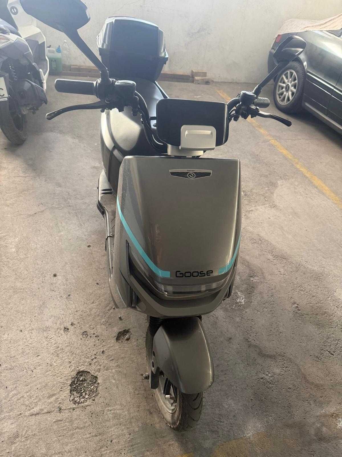 Mota Elétrica sem carta