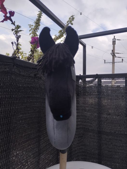 Hobby horse z kijem