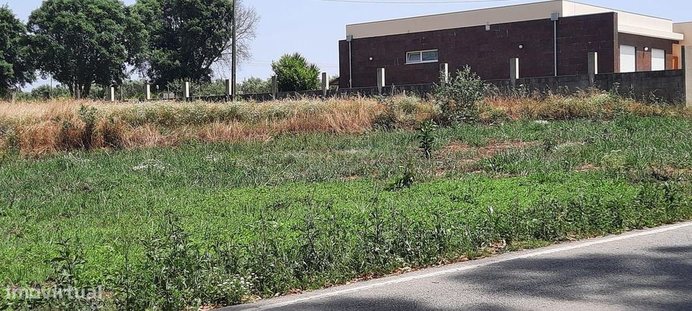 Terreno à Venda em Vagos, Aveiro - Oportunidade Única!